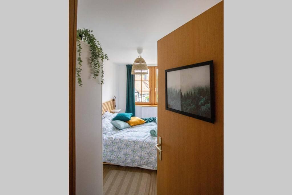Charming Apartment Basel Border - 3 Bedrooms Hegenheim Экстерьер фото