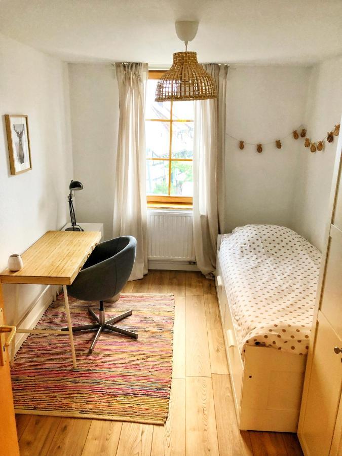 Charming Apartment Basel Border - 3 Bedrooms Hegenheim Экстерьер фото